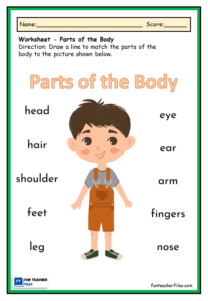 parts of the body worksheets fun teacher files