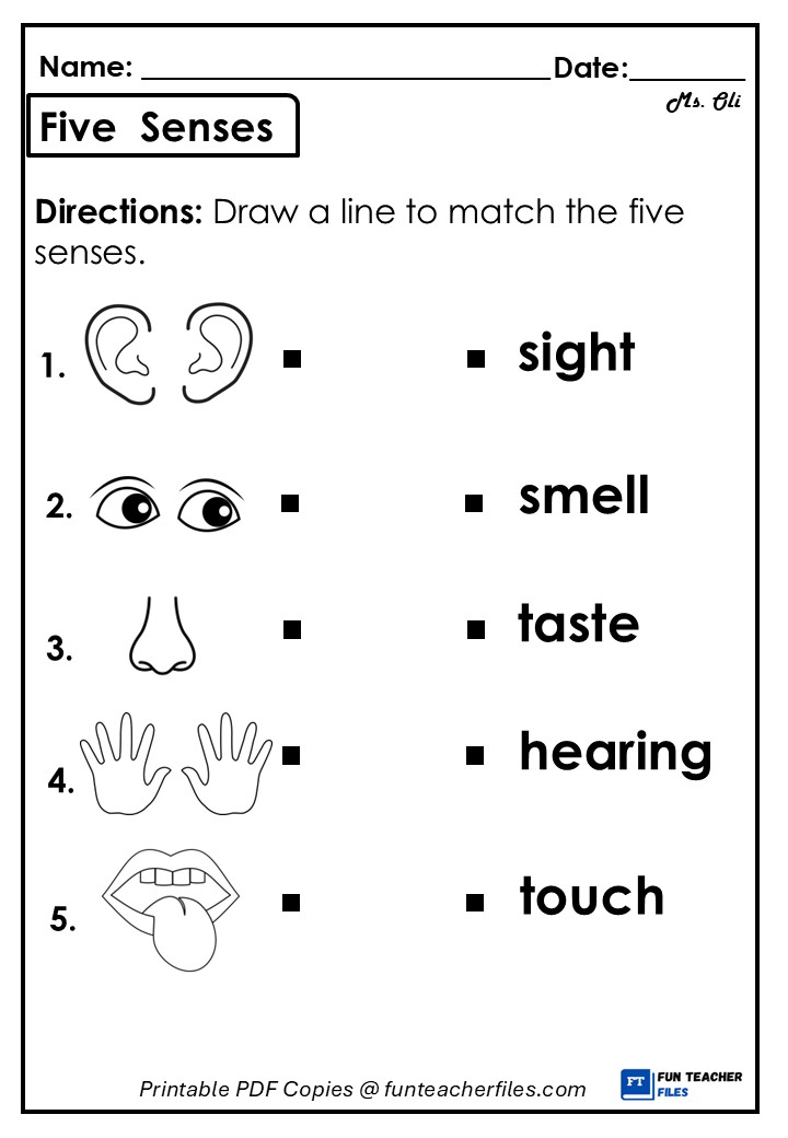 Five Senses Worksheet 2 - Fun Teacher Files