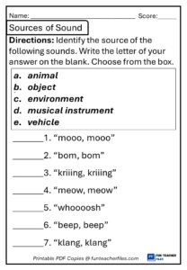 Sources of Sound Worksheet 1 - Fun Teacher Files