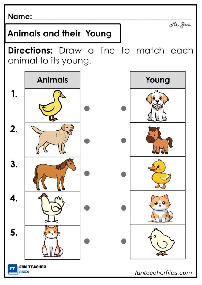 Animals and their Young Worksheet 2 - Fun Teacher Files