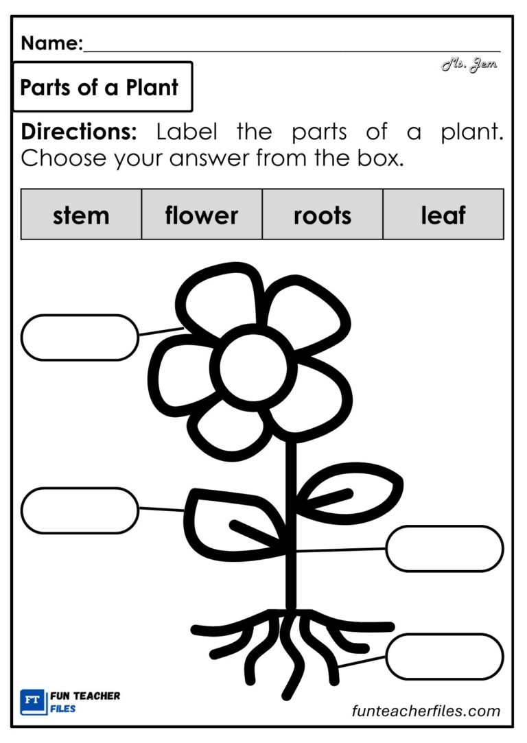 Parts of a Plant Worksheet 2 - Fun Teacher Files